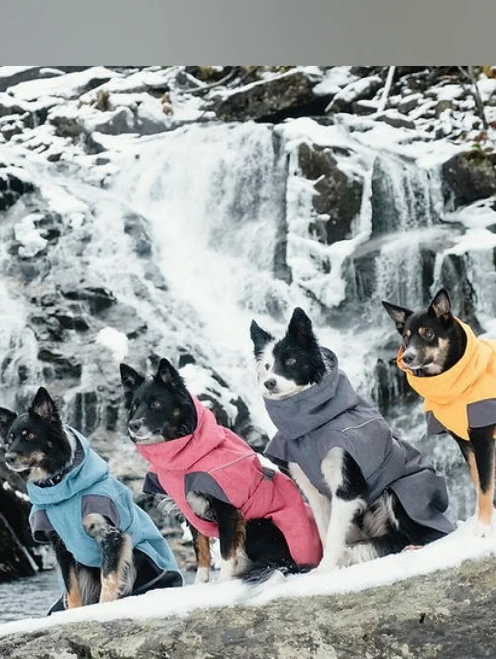 Hurtta Expedition Parka 18